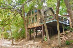 Treehouse 6 - Birdseye Perch